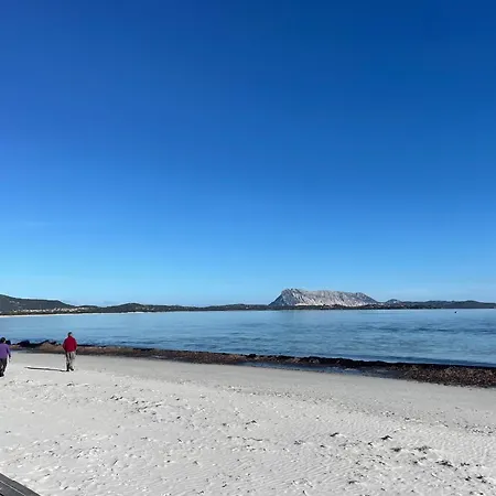 Al Faro , La Cinta ,san Teodoro 호텔 *