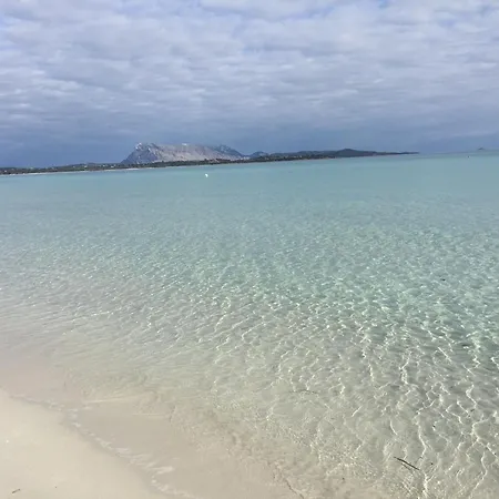 Al Faro , La Cinta ,san Teodoro