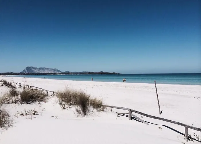 Hotel Al Faro , La Cinta ,san Teodoro