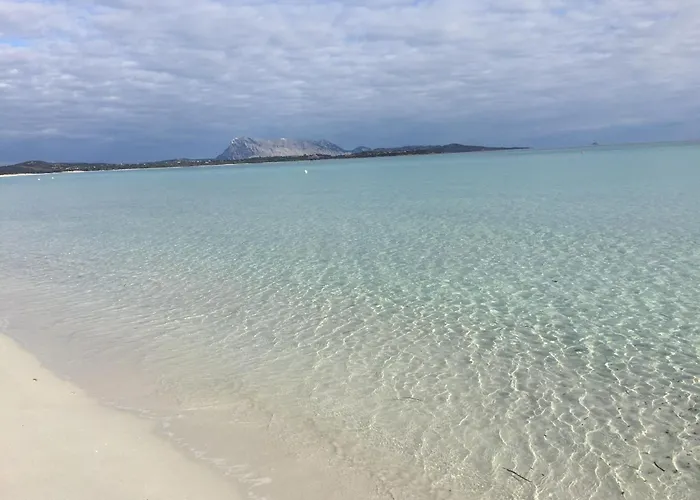 Al Faro , La Cinta ,san Teodoro